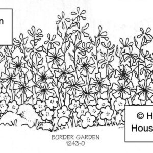 Border Garden Flowers