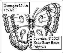 Cecropia Moth