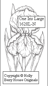 One Iris