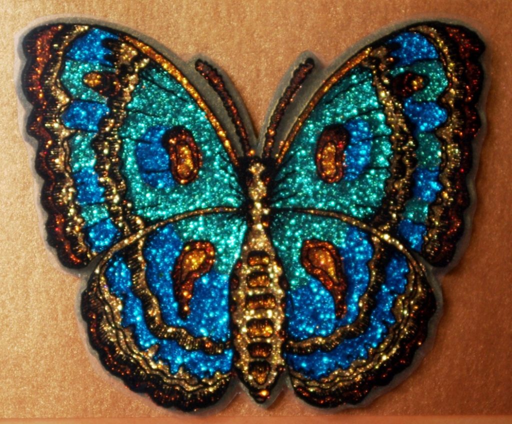 Cecropia Moth